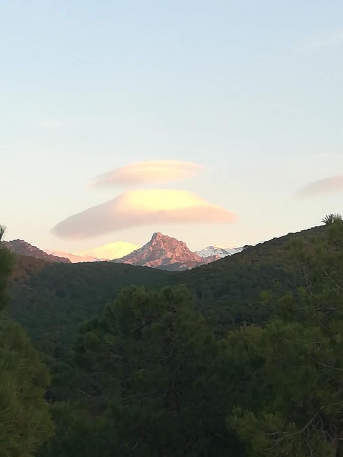 Acogedor Apartamento Privado Con Fantasticas Vistas La Zubia  Dış mekan fotoğraf